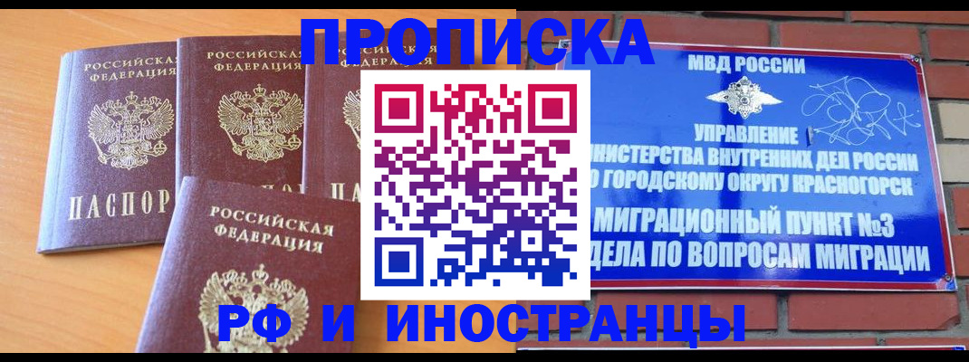 прописка гарантия в Звенигово