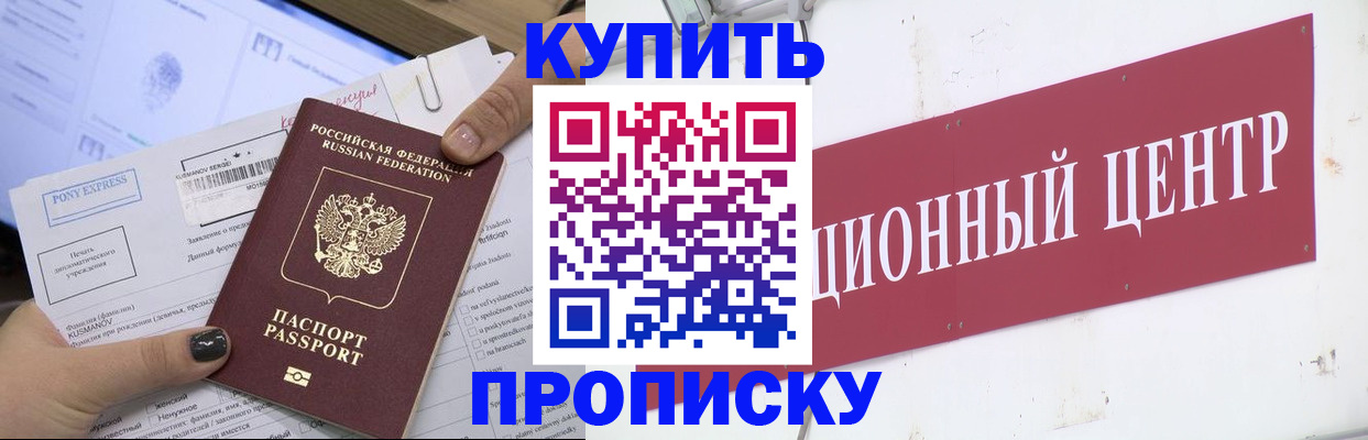 прописка поиск в Звенигово